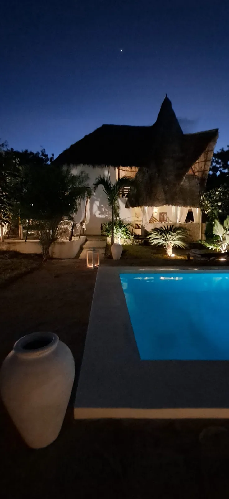 Villa Zabibu Exterior & Pool 3