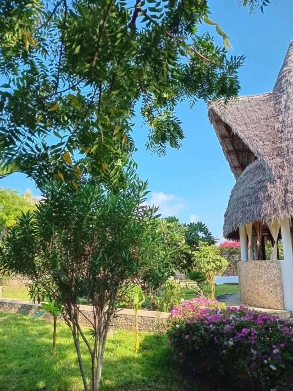 Villa Zabibu Exterior & Pool 7